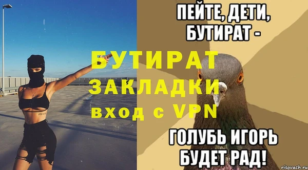 индика Каменногорск