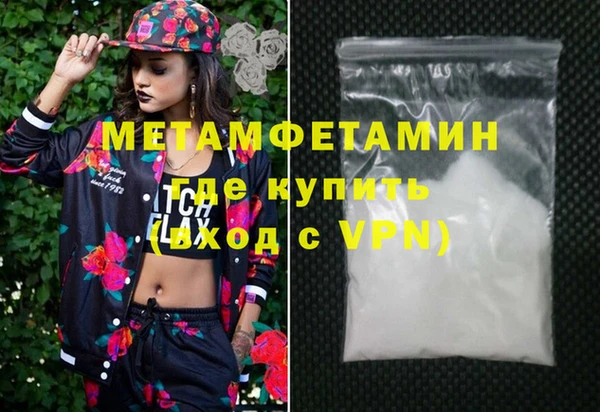 индика Каменногорск