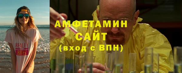 индика Каменногорск