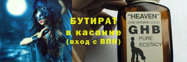 индика Каменногорск