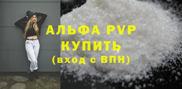 индика Каменногорск