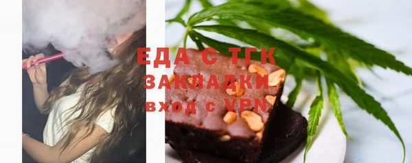 индика Каменногорск