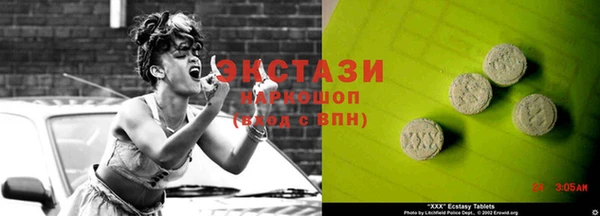 индика Каменногорск