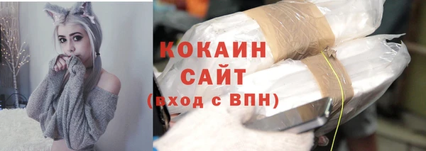 индика Каменногорск