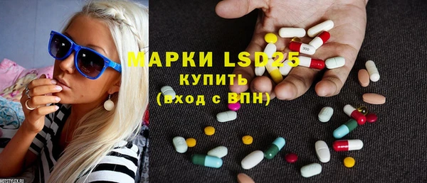 индика Каменногорск