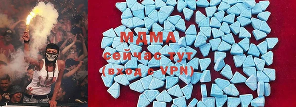 индика Каменногорск