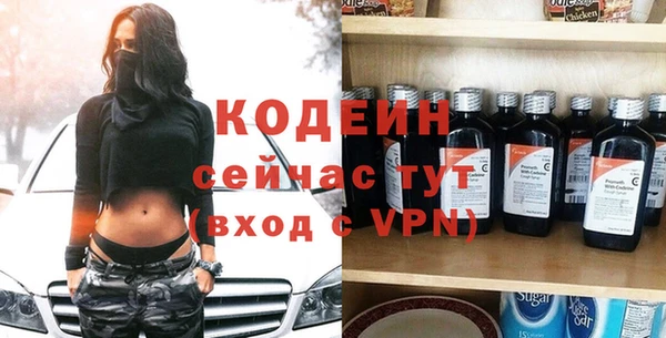 индика Каменногорск