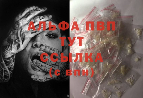 молекула духа Каменск-Шахтинский