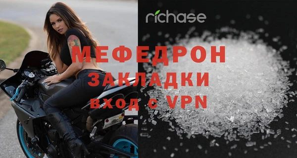 индика Каменногорск