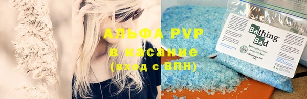индика Каменногорск