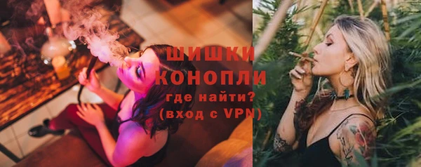 индика Каменногорск