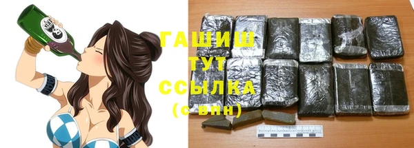 индика Каменногорск